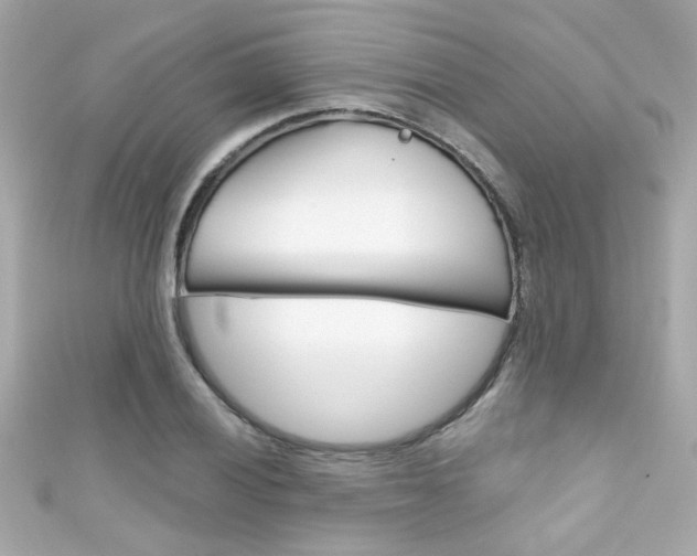 X0000111591028200907161149