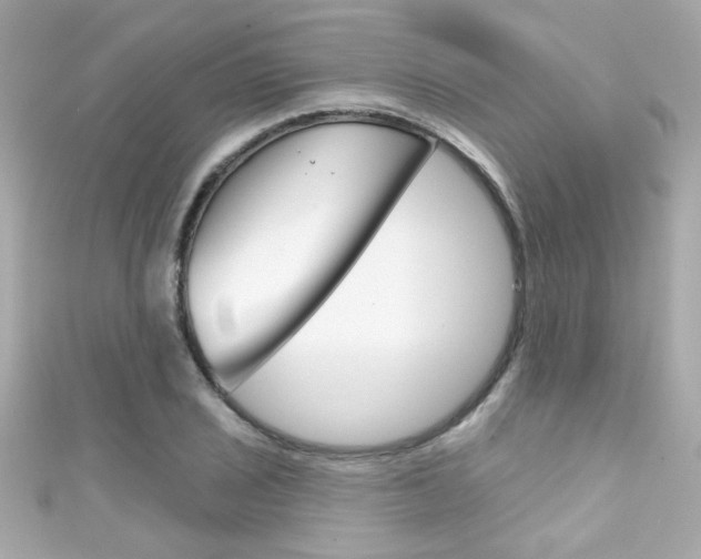 X0000111591029200907161149