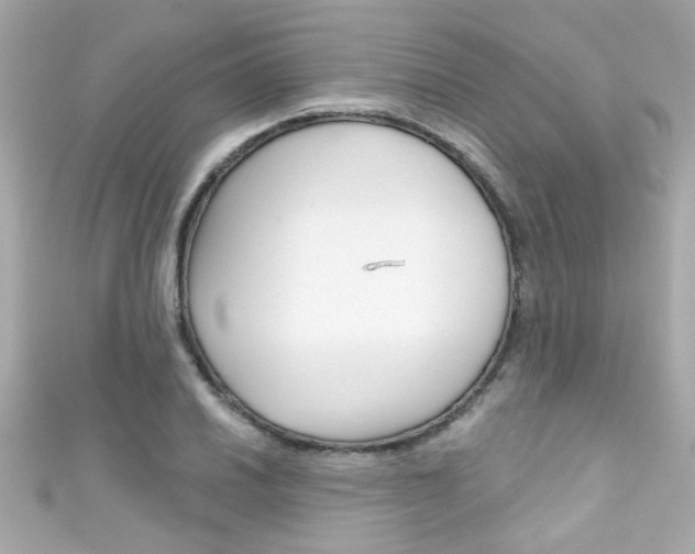 X0000111591030200907161149