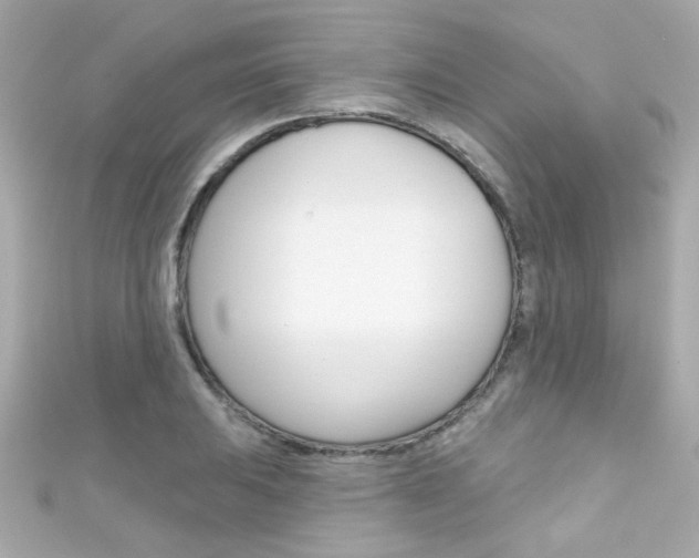 X0000111591031200907161149