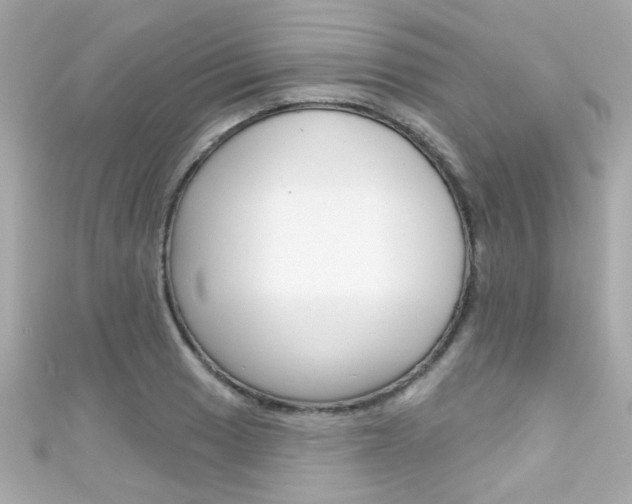 X0000111591033200907161149