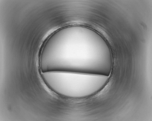 X0000111591034200907161149