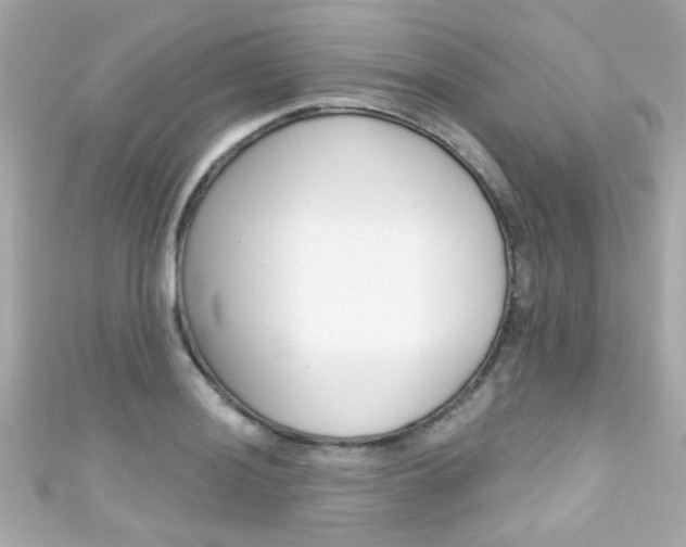 X0000111591036200907161149