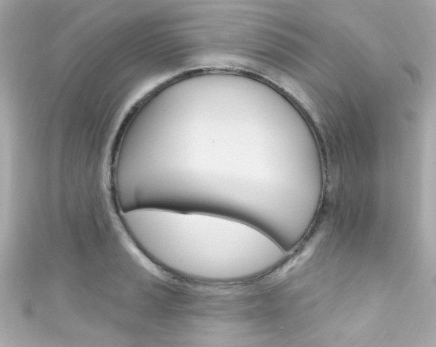 X0000111591037200907161149