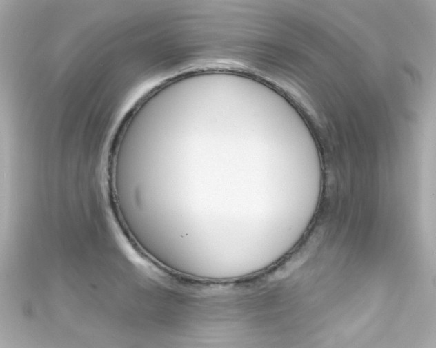 X0000111591038200907161149