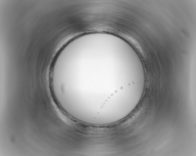 X0000111591039200907161149