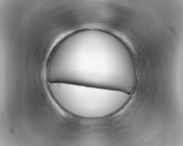 X0000111591040200907161149