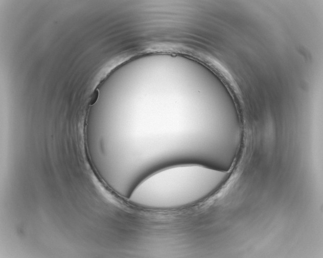 X0000111591041200907161149