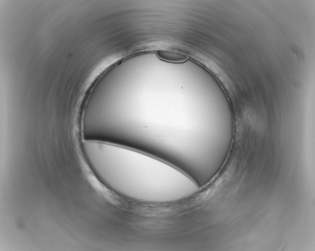 X0000111591042200907161149