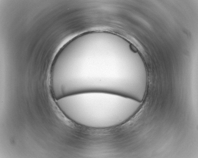 X0000111591044200907161149