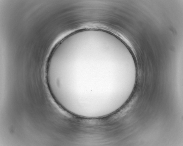 X0000111591045200907161149
