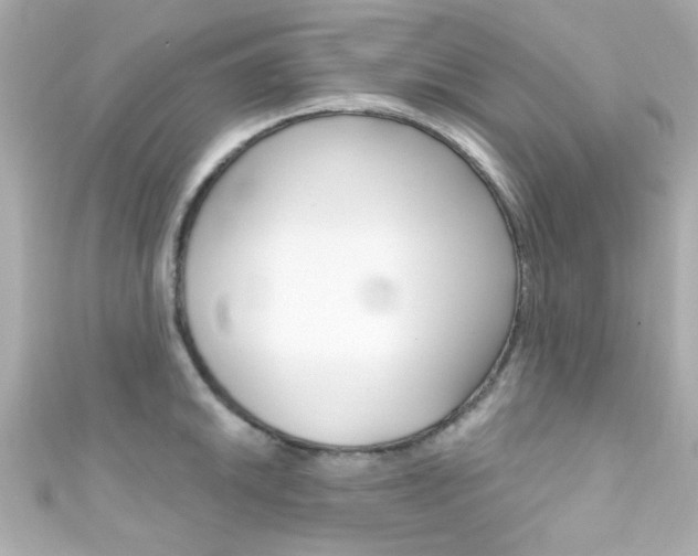 X0000111591046200907161149