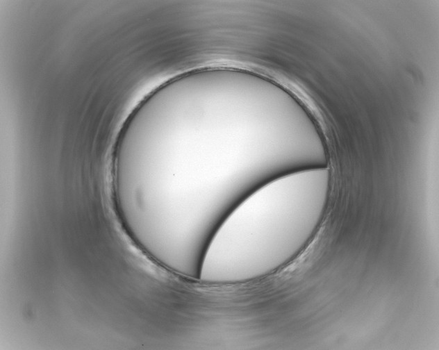 X0000111591048200907161149