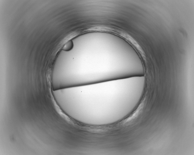 X0000111591049200907161149