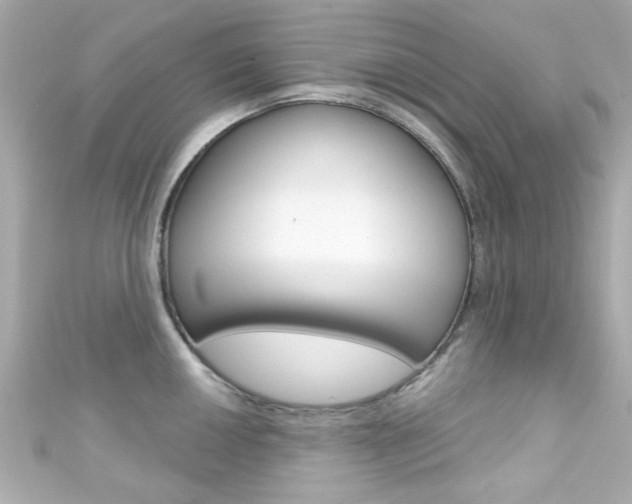X0000111591050200907161149