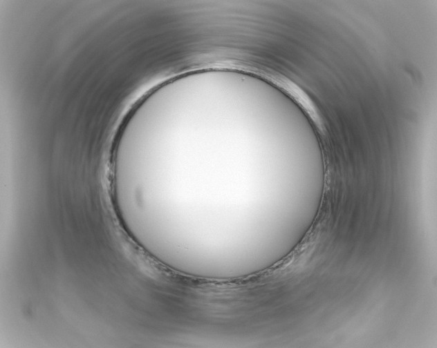 X0000111591051200907161149