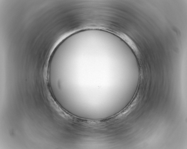 X0000111591052200907161149