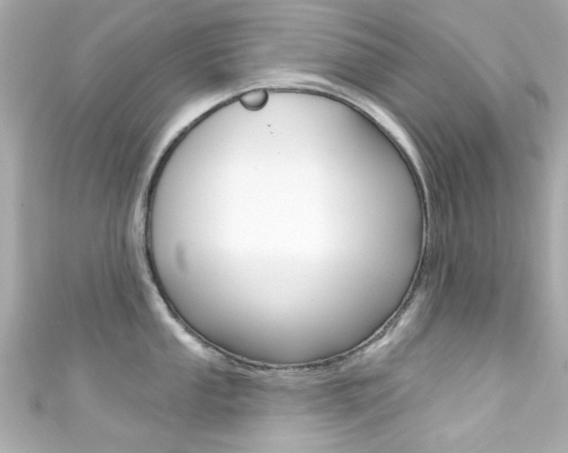 X0000111591053200907161149