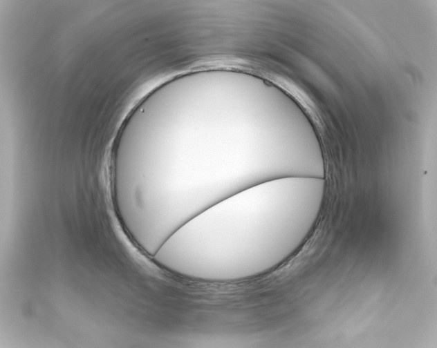 X0000111591055200907161149