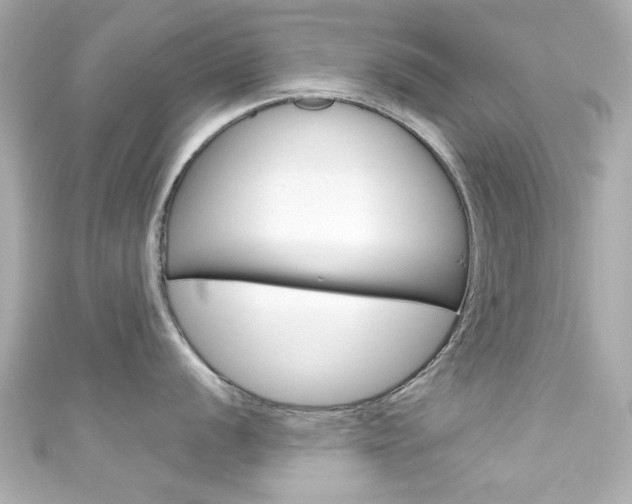 X0000111591056200907161149