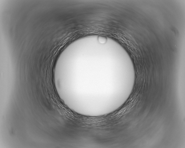 X0000111591057200907161148