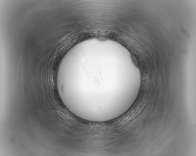 X0000111591058200907161148