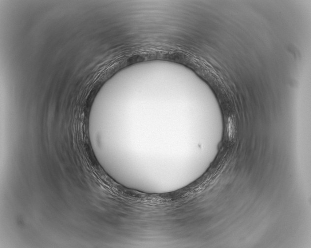 X0000111591059200907161148