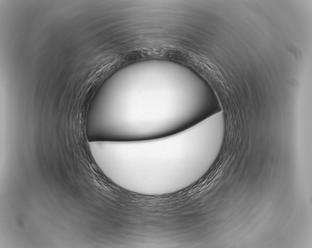 X0000111591060200907161148