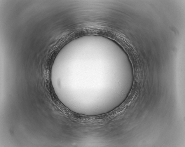 X0000111591061200907161148