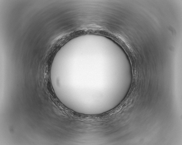 X0000111591063200907161148