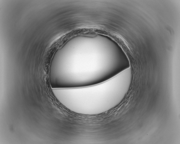 X0000111591064200907161148
