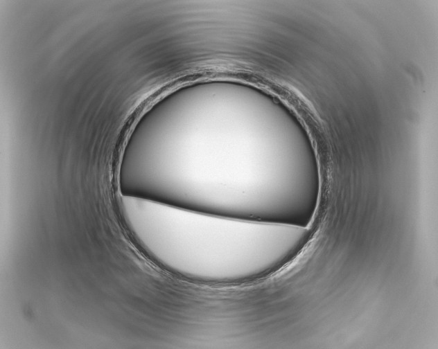 X0000111591065200907161148