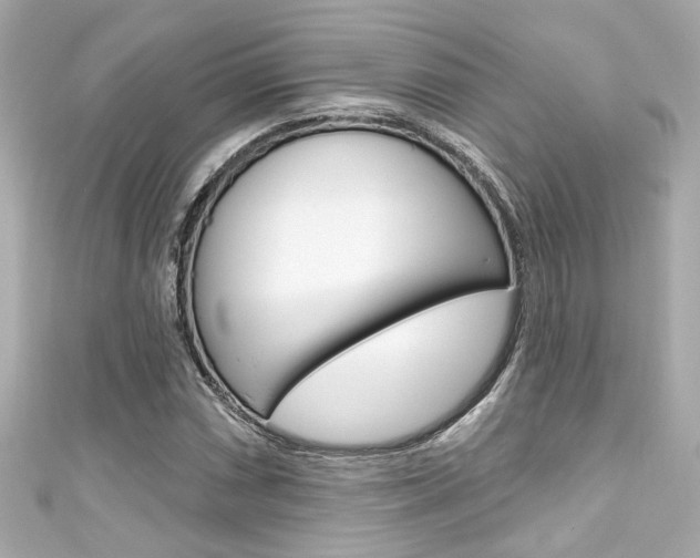 X0000111591066200907161148