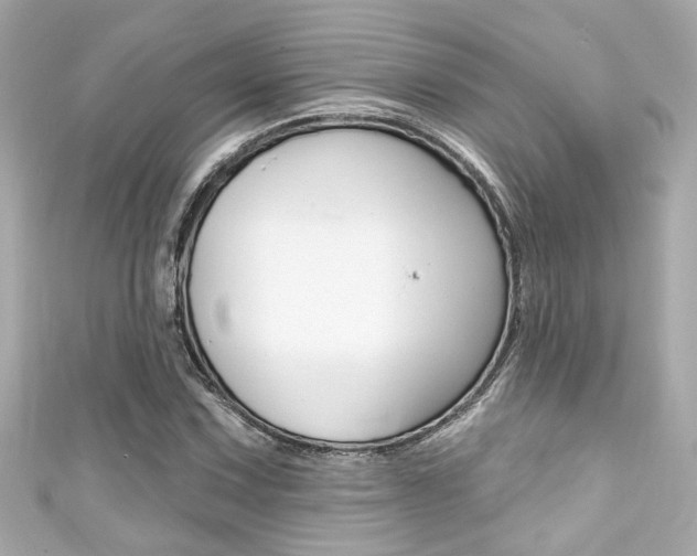 X0000111591067200907161148