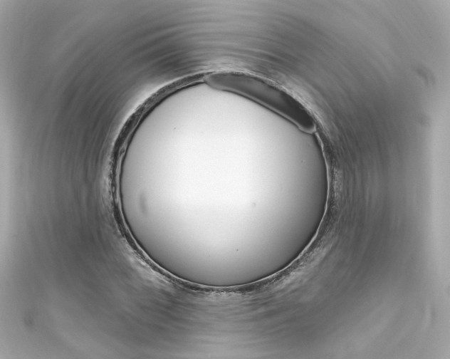 X0000111591068200907161148