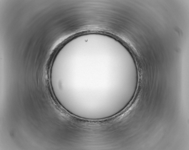 X0000111591070200907161148
