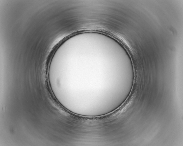 X0000111591071200907161148