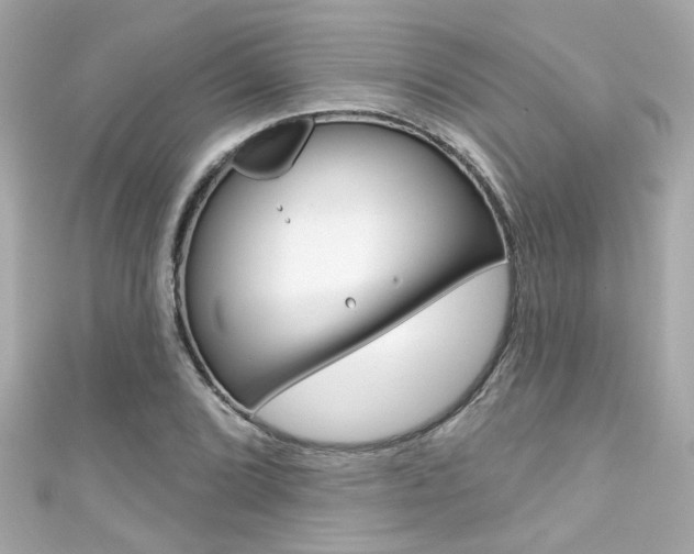 X0000111591072200907161148