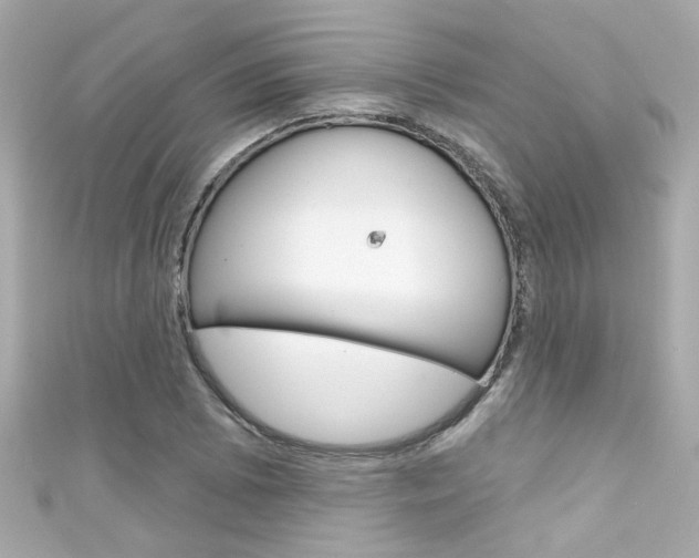 X0000111591073200907161148