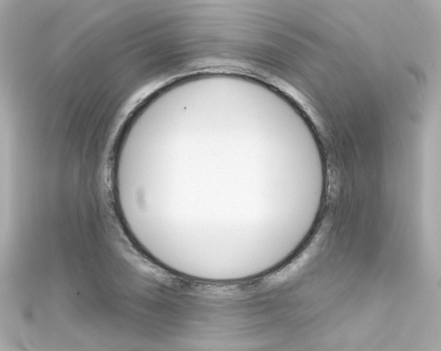 X0000111591074200907161148