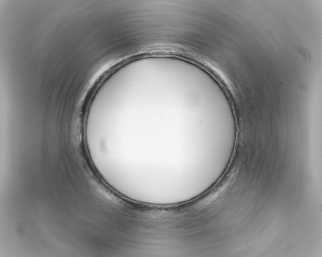 X0000111591075200907161148