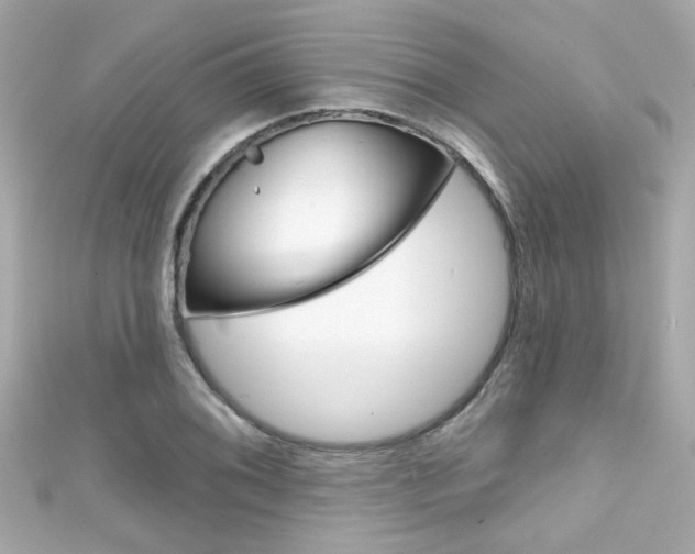 X0000111591076200907161148
