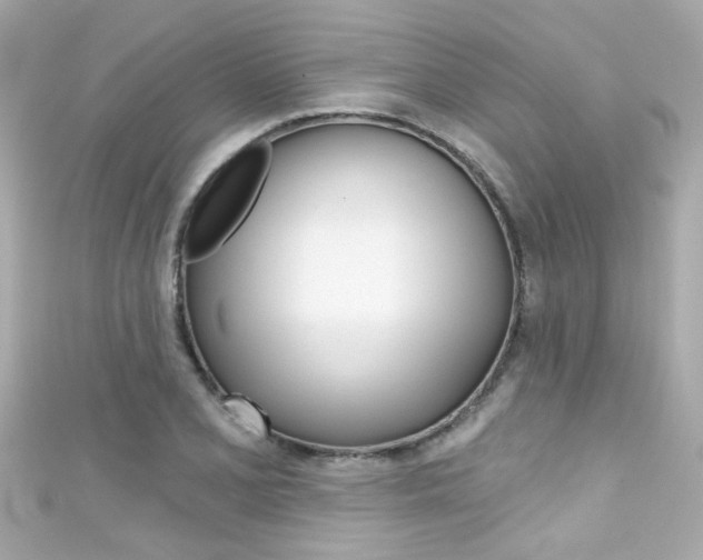 X0000111591077200907161148