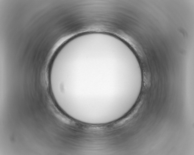 X0000111591078200907161148