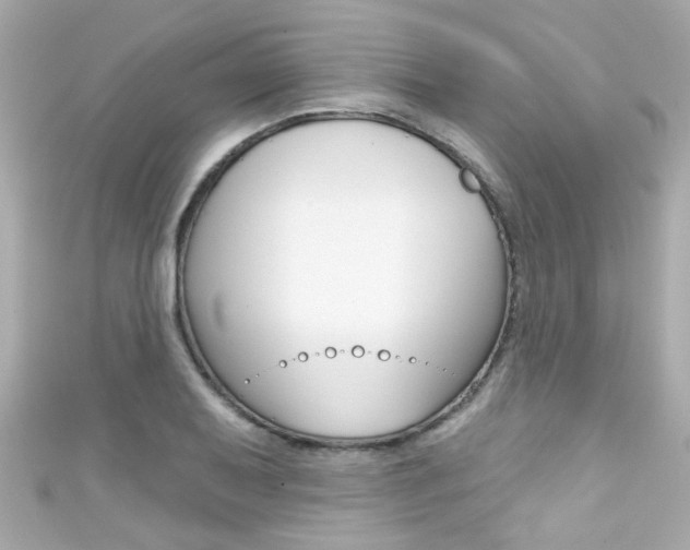 X0000111591079200907161148