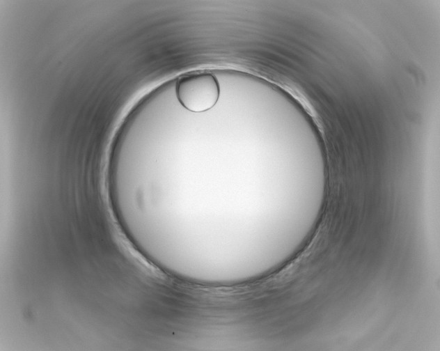 X0000111591080200907161148