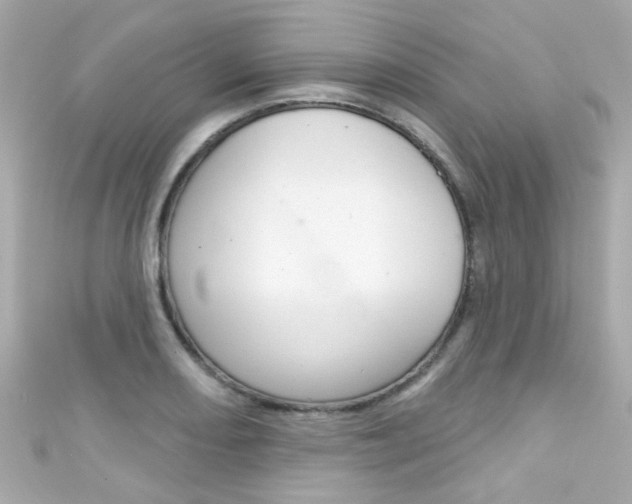 X0000111591082200907161148