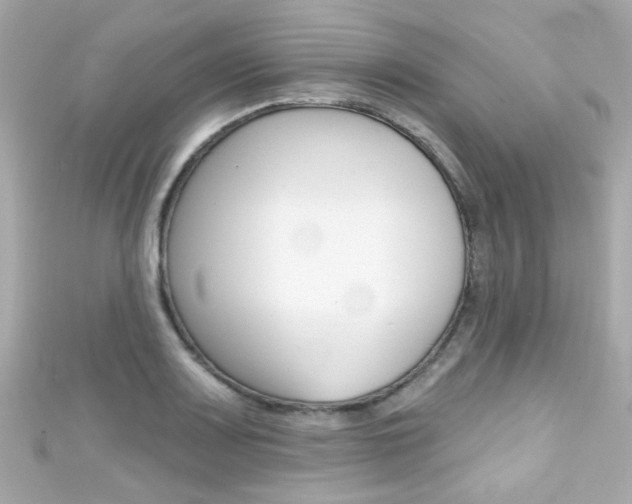 X0000111591083200907161148
