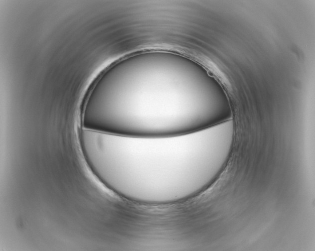 X0000111591084200907161148