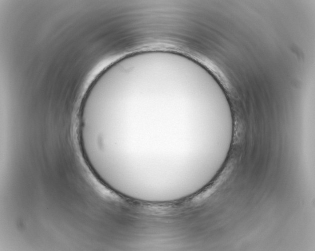 X0000111591086200907161148
